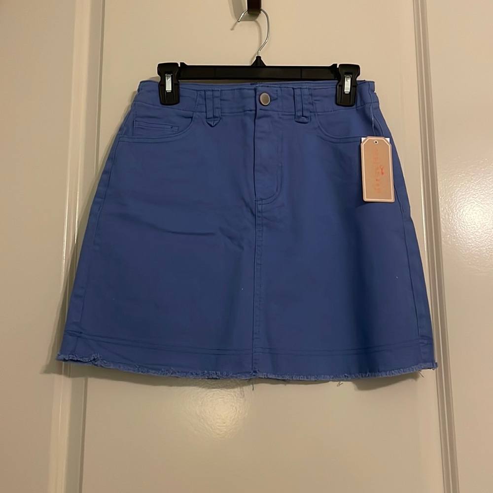 Blue skirt